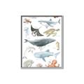 Picture of Sea Life _GroupedProduct_Rectangle_Portrait_Canvas_Framed_