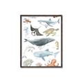 Picture of Sea Life _GroupedProduct_Rectangle_Portrait_Canvas_Framed_