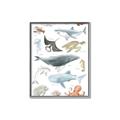 Picture of Sea Life _GroupedProduct_Rectangle_Portrait_Canvas_Framed_