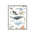 Picture of Sea Life _GroupedProduct_Rectangle_Portrait_Canvas_Framed_