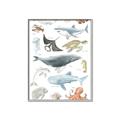 Picture of Sea Life _GroupedProduct_Rectangle_Portrait_Canvas_Framed_