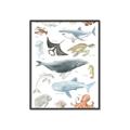 Picture of Sea Life _GroupedProduct_Rectangle_Portrait_Canvas_Framed_