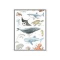 Picture of Sea Life _GroupedProduct_Rectangle_Portrait_Canvas_Framed_