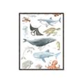 Picture of Sea Life _GroupedProduct_Rectangle_Portrait_Canvas_Framed_