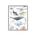 Picture of Sea Life _GroupedProduct_Rectangle_Portrait_Canvas_Framed_