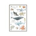 Picture of Sea Life _GroupedProduct_Rectangle_Portrait_Canvas_Framed_