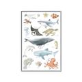 Picture of Sea Life _GroupedProduct_Rectangle_Portrait_Canvas_Framed_