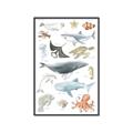 Picture of Sea Life _GroupedProduct_Rectangle_Portrait_Canvas_Framed_