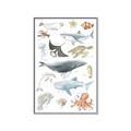 Picture of Sea Life _GroupedProduct_Rectangle_Portrait_Canvas_Framed_