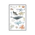 Picture of Sea Life _GroupedProduct_Rectangle_Portrait_Canvas_Framed_