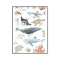 Picture of Sea Life _GroupedProduct_Rectangle_Portrait_Canvas_Framed_