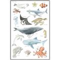 Picture of Sea Life _GroupedProduct_Rectangle_Portrait_Canvas_Framed_