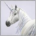 Picture of Purple Unicorn _GroupedProduct_Square_Canvas_Framed_