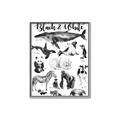 Picture of Black and white Animals _GroupedProduct_Rectangle_Portrait_Canvas_Framed_