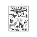 Picture of Black and white Animals _GroupedProduct_Rectangle_Portrait_Canvas_Framed_