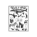 Picture of Black and white Animals _GroupedProduct_Rectangle_Portrait_Canvas_Framed_