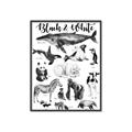 Picture of Black and white Animals _GroupedProduct_Rectangle_Portrait_Canvas_Framed_