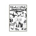 Picture of Black and white Animals _GroupedProduct_Rectangle_Portrait_Canvas_Framed_