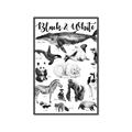 Picture of Black and white Animals _GroupedProduct_Rectangle_Portrait_Canvas_Framed_
