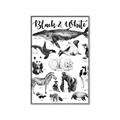 Picture of Black and white Animals _GroupedProduct_Rectangle_Portrait_Canvas_Framed_