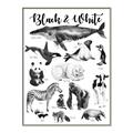 Picture of Black and white Animals _GroupedProduct_Rectangle_Portrait_Canvas_Framed_