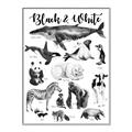 Picture of Black and white Animals _GroupedProduct_Rectangle_Portrait_Canvas_Framed_