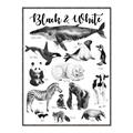 Picture of Black and white Animals _GroupedProduct_Rectangle_Portrait_Canvas_Framed_