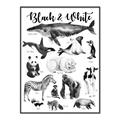 Picture of Black and white Animals _GroupedProduct_Rectangle_Portrait_Canvas_Framed_