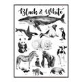 Picture of Black and white Animals _GroupedProduct_Rectangle_Portrait_Canvas_Framed_