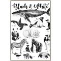 Picture of Black and white Animals _GroupedProduct_Rectangle_Portrait_Canvas_Framed_