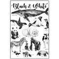 Picture of Black and white Animals _GroupedProduct_Rectangle_Portrait_Canvas_Framed_