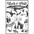 Picture of Black and white Animals _GroupedProduct_Rectangle_Portrait_Canvas_Framed_