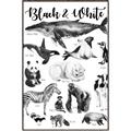 Picture of Black and white Animals _GroupedProduct_Rectangle_Portrait_Canvas_Framed_