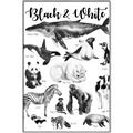 Picture of Black and white Animals _GroupedProduct_Rectangle_Portrait_Canvas_Framed_