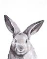 Picture of Big Bunny _GroupedProduct_Rectangle_Portrait_Unframed_Print_Only_