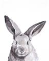 Picture of Big Bunny _GroupedProduct_Rectangle_Portrait_Unframed_Print_Only_