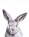 Picture of Big Bunny _GroupedProduct_Rectangle_Portrait_Unframed_Print_Only_