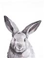 Picture of Big Bunny _GroupedProduct_Rectangle_Portrait_Unframed_Print_Only_