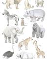 Picture of Zoo  Life _GroupedProduct_Rectangle_Portrait_Unframed_Print_Only_