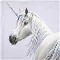 Picture of Purple Unicorn _GroupedProduct_Square_Unframed_Print_Only_