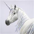 Picture of Purple Unicorn _GroupedProduct_Square_Unframed_Print_Only_
