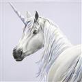 Picture of Purple Unicorn _GroupedProduct_Square_Unframed_Print_Only_
