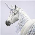Picture of Purple Unicorn _GroupedProduct_Square_Unframed_Print_Only_