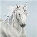 Picture of Blue Unicorn _GroupedProduct_Square_Unframed_Print_Only_