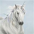 Picture of Blue Unicorn _GroupedProduct_Square_Unframed_Print_Only_