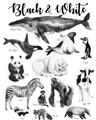 Picture of Black and white Animals _GroupedProduct_Rectangle_Portrait_Unframed_Print_Only_