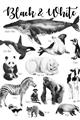 Picture of Black and white Animals _GroupedProduct_Rectangle_Portrait_Unframed_Print_Only_