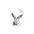 Picture of Big Bunny _GroupedProduct_Rectangle_Portrait_Unframed_Print_Only_