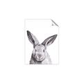Picture of Big Bunny _GroupedProduct_Rectangle_Portrait_Unframed_Print_Only_