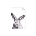 Picture of Big Bunny _GroupedProduct_Rectangle_Portrait_Unframed_Print_Only_